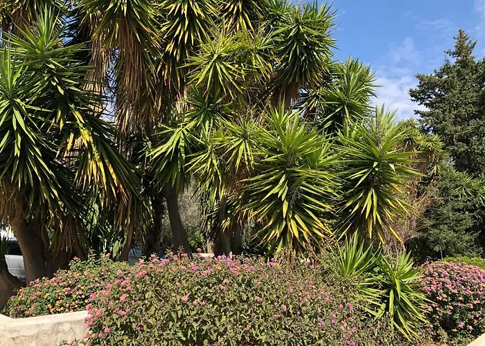 アパート Limnaria Westpark 2 Bdrm 122